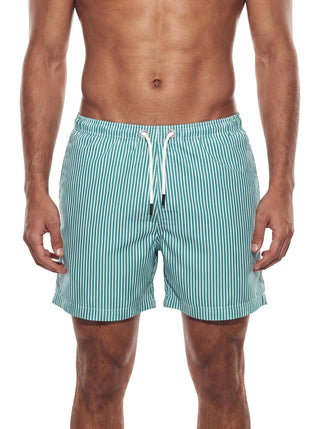 Swim Shorts (Striped Green)